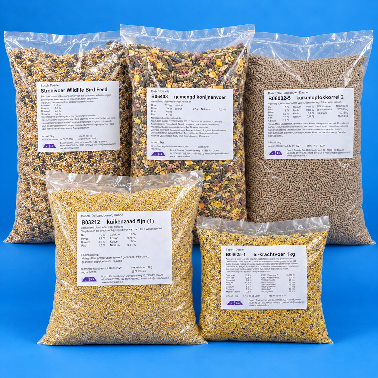 Zonnepit gestreept  2,5kg