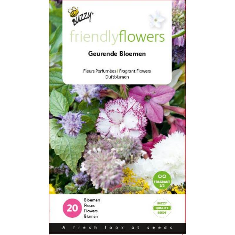 Geurende Bloemen Buzzy