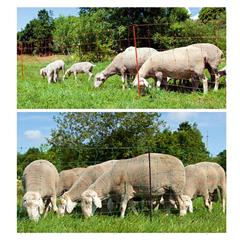 Schapennet AKO -Ovinet- 90cm x 50m enkele pen