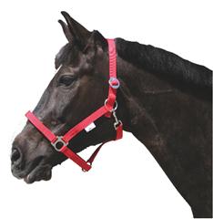 Halster nylon paard rood 2