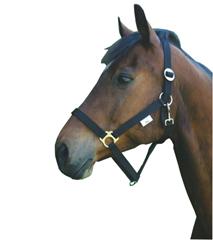 Halster nylon paard zwart 3