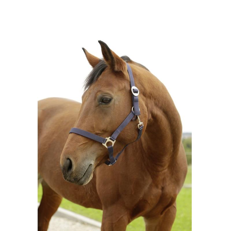 Hippo halster marine -0 - Shetland