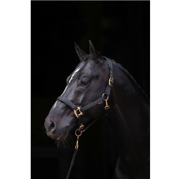 Topline halster zwart-1 - Pony