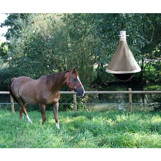 Dazenval TaonX, -ECO-