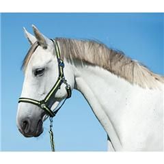 Hippo halster antra/lemon-1 - Pony