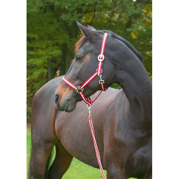 Hippo halster bordeaux/beige -0- Shetland