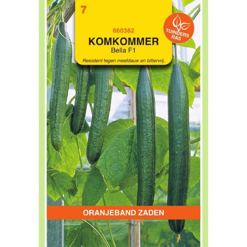 Komkommer Bella F1