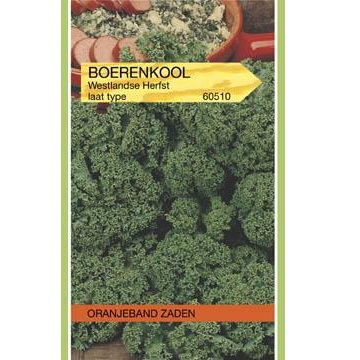 Boerenkool Westlandse herfst