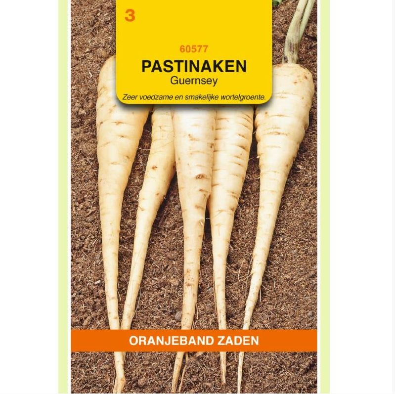 Pastinaken Guernsey