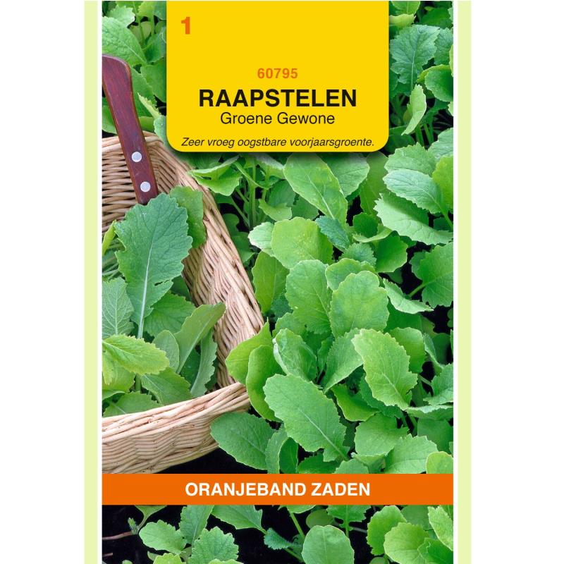 Raapstelen Groene Gewone