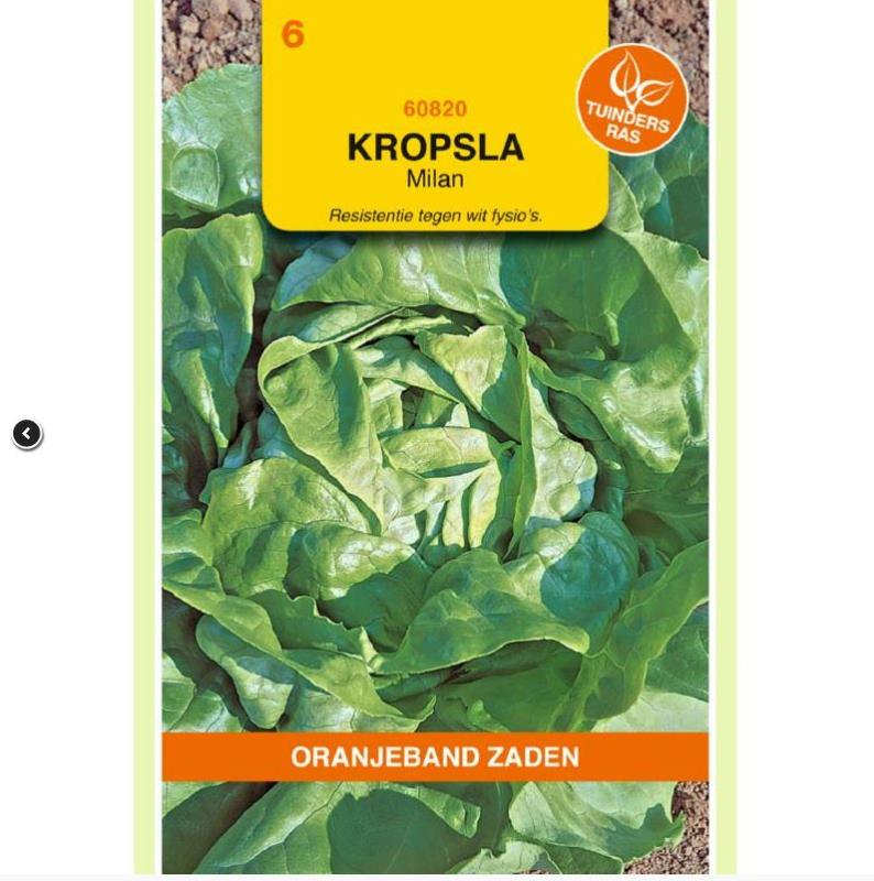 Kropsla Milan