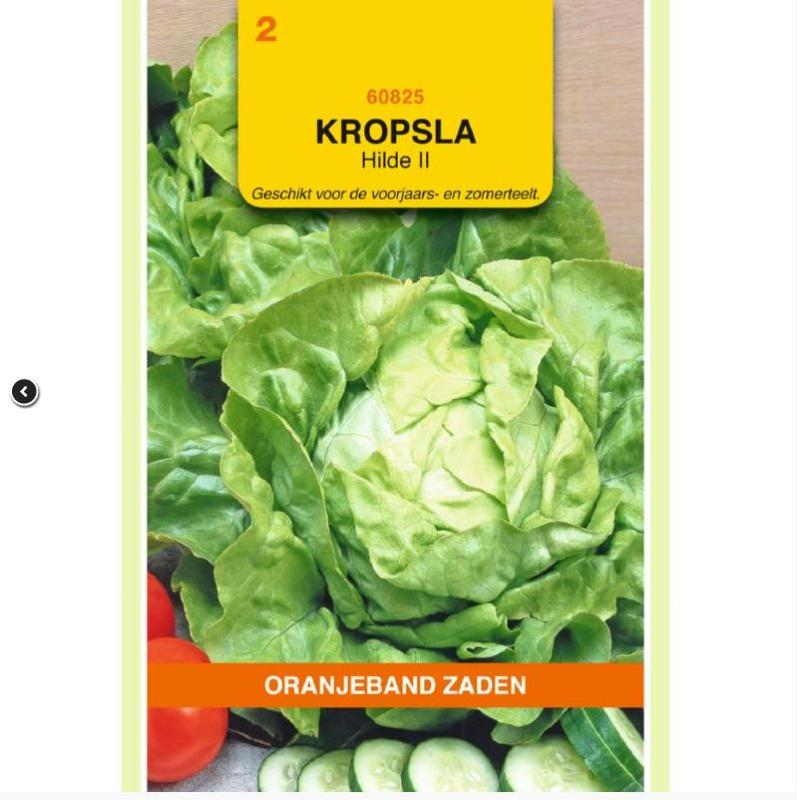 Kropsla HiLde II