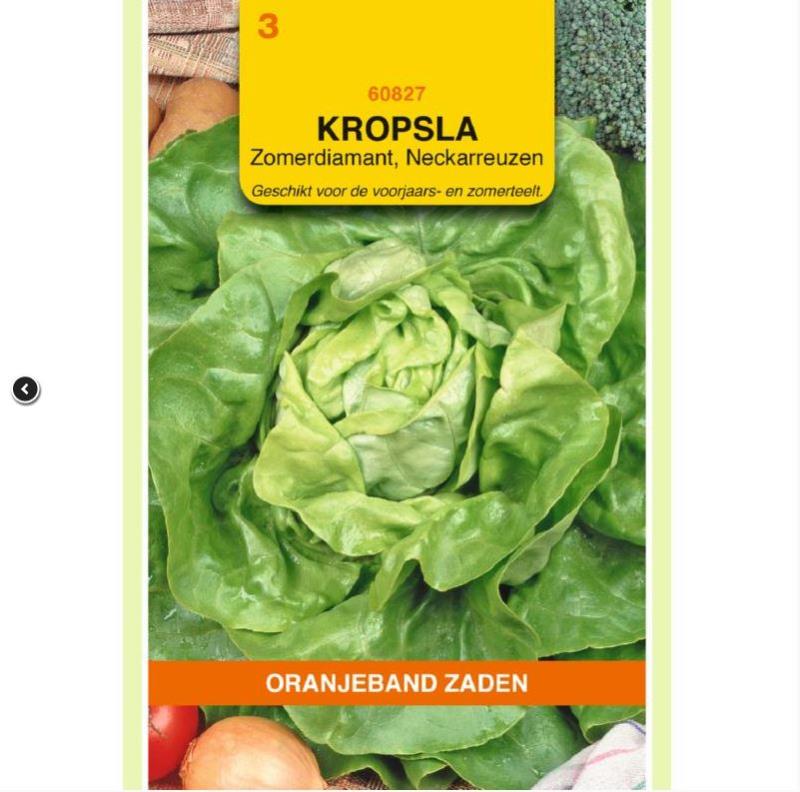 Kropsla Zomerdiamant/Neckarriesen