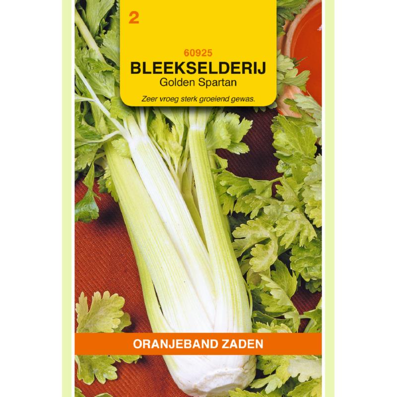 OBZ Bleekselderij Golden Spartan
