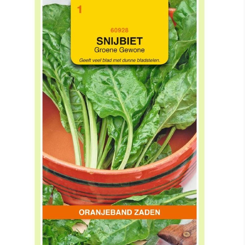 Snijbiet Groene Gewone