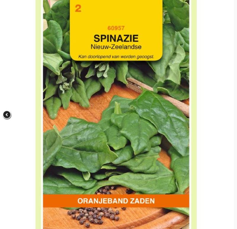Spinazie Nieuwzeelandse