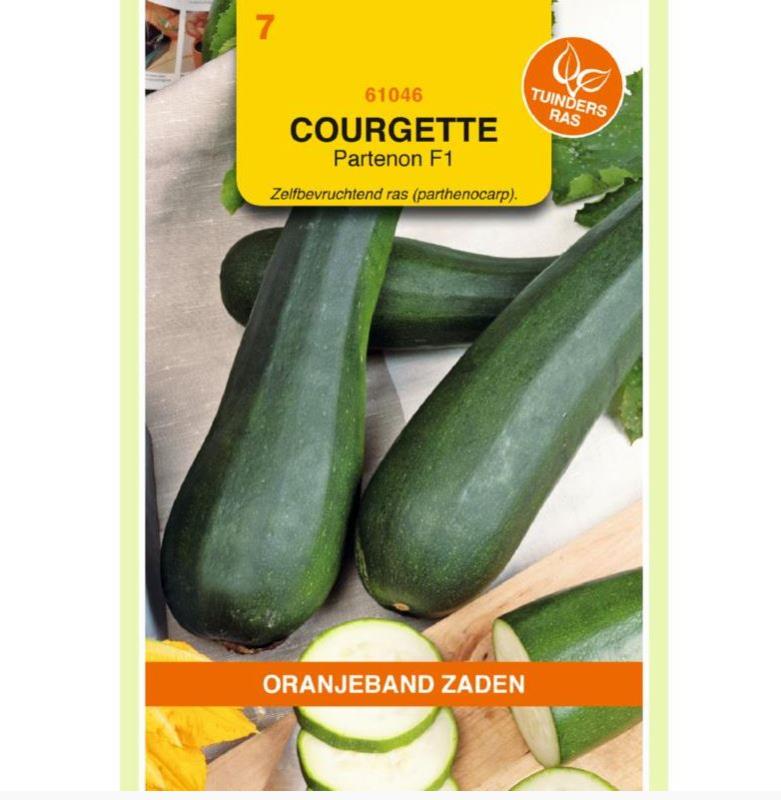 Courgette Partenon F1 hybride