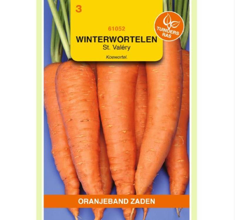 Winterwortelen St.Valery Koewortel