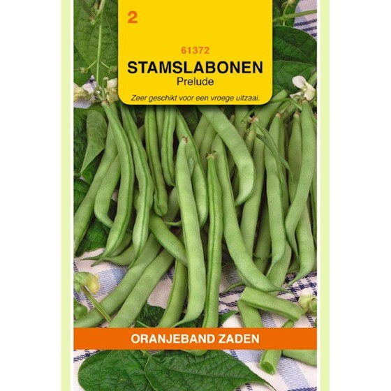 Stamslabonen Prelude 25gr.
