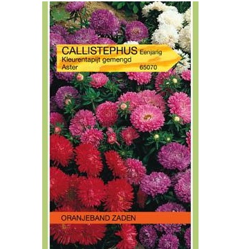 Callistephus Aster kleurentapijt gemengd