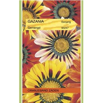 Gazania gemengd
