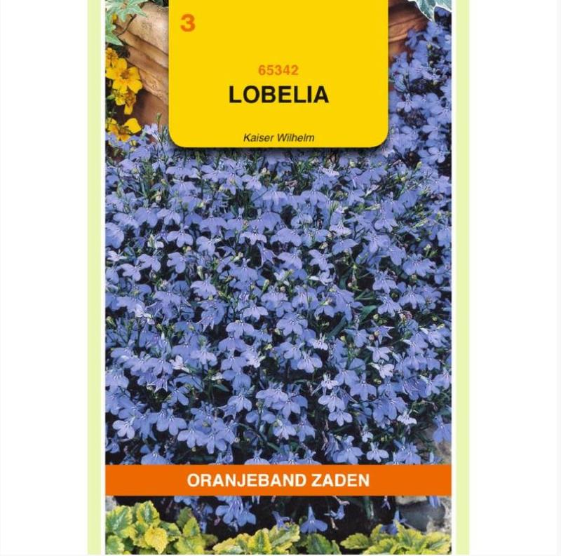 Lobelia Kaiser Wilhelm
