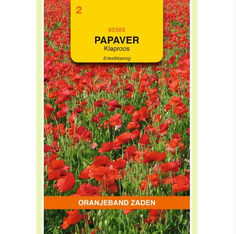 Papaver enkelbl.rood gewone klaproos
