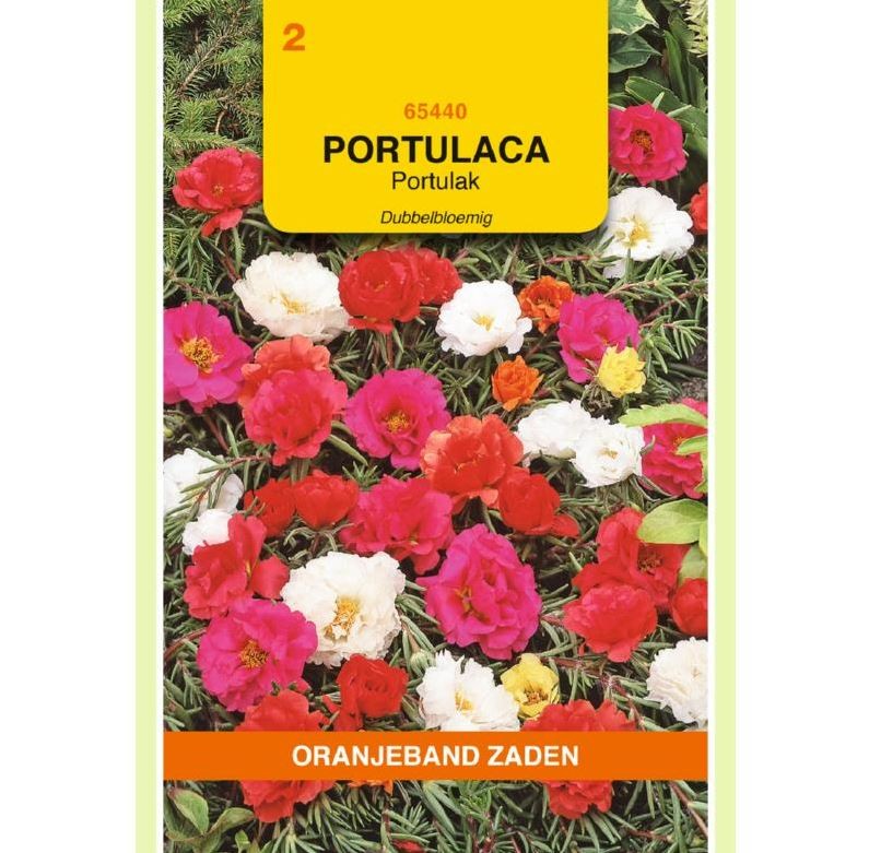 Portulaca dubb gemengd Portulak