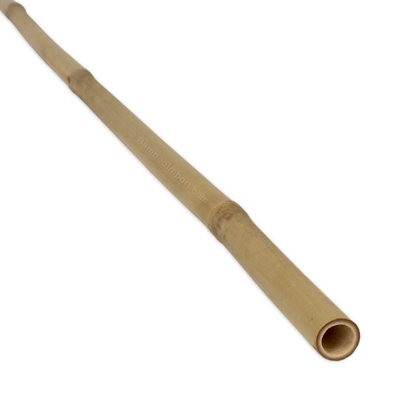 Bamboe 274cm 20/22 mm (Bonenstokken)
