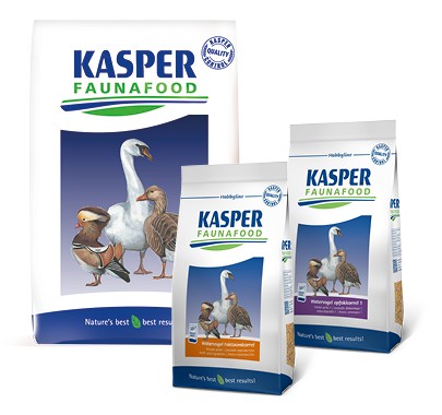 Anseres 4 Breeder fokt. korrel