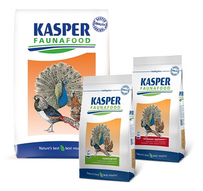 Gallus 4 foktoom/produktiekorrel