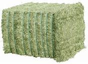 Lucerne Franse grote pakken