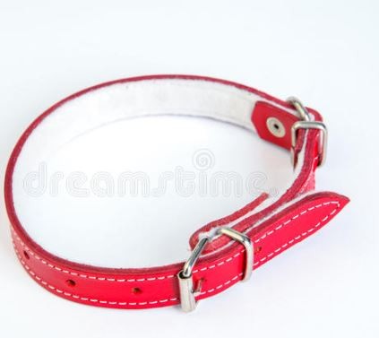 Halsband leder PAW Rood 45cm 20mm