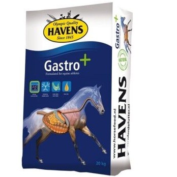 Havens Gastro+  Z20