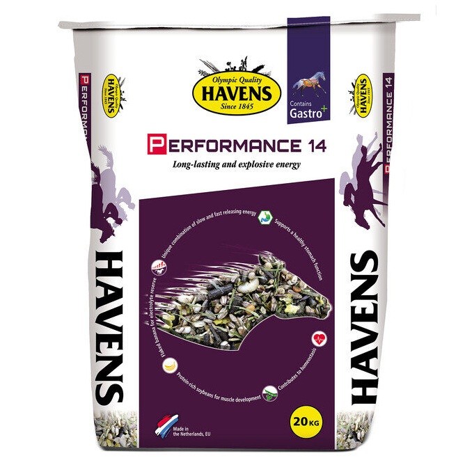 Havens Performance 14  Z20
