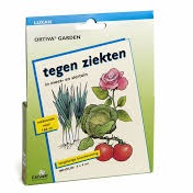 Luxan Ortiva Garden 4x 4 ml
