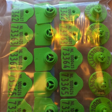 Q-Flex oormerk EXCELLENT 10st/set