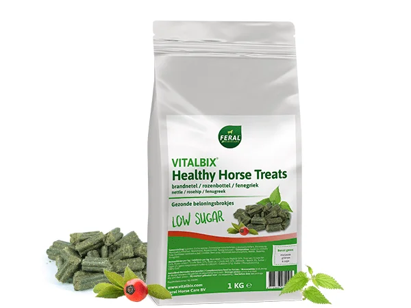 Vitalbix Healthy Horse Treat brandnetel