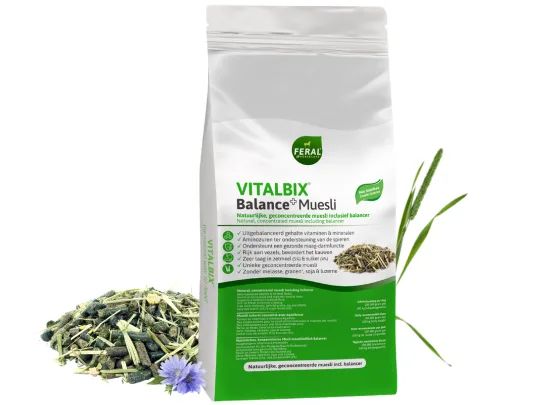Balance+ Muesli 22kg Vitalbix