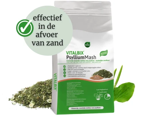 PsylliumMash 6kg Vitalbix
