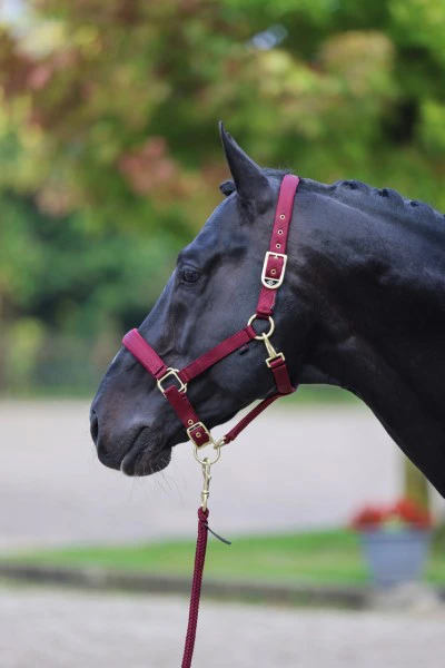 Halster, Classy Cob Merlot rood